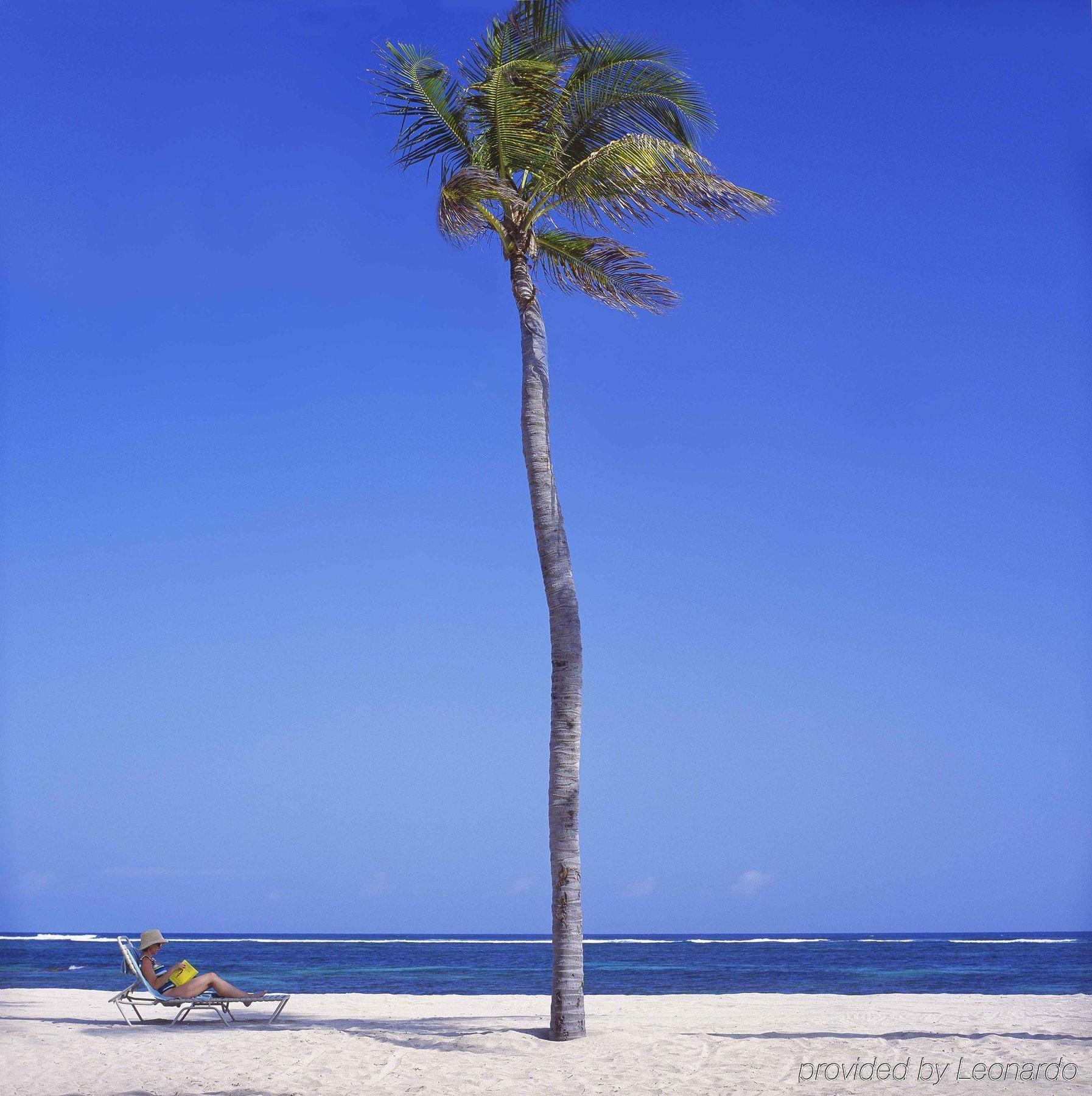 Nisbet Plantation Beach Club Newcastle Village 外观 照片