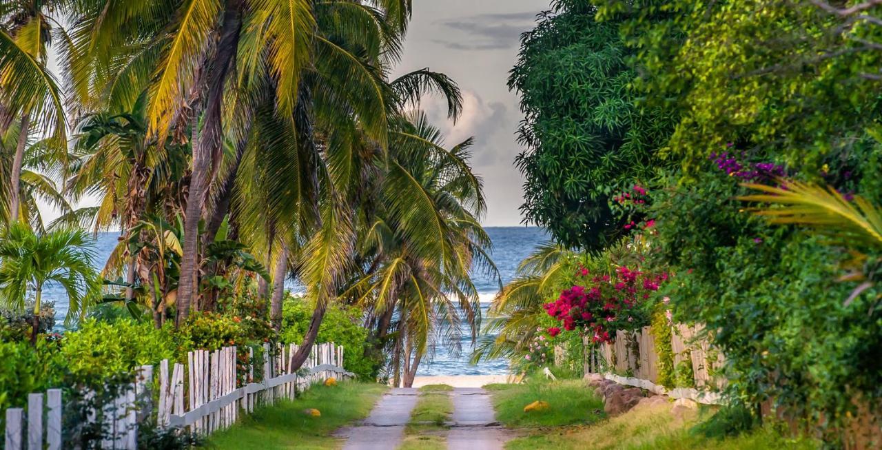 Nisbet Plantation Beach Club Newcastle Village 外观 照片